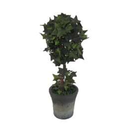 English Ivy Topiary Potted Tree