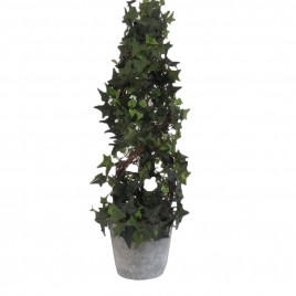 Ivy Cone Topiary Potted Tree