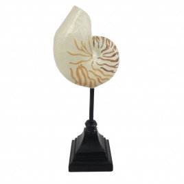 Nautilus Shell on Stand