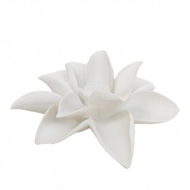 White Sand Stone Lotus (L)
