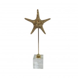 Golden metal starfish display (S)