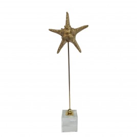 Golden metal starfish display (L)
