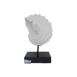 Sand Stone Nautilus w/ Metal Stand