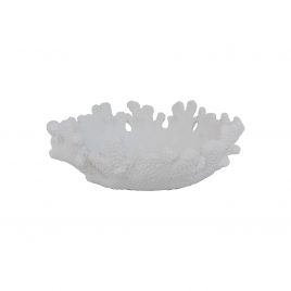 Decorative Sand Stone Sea Shell