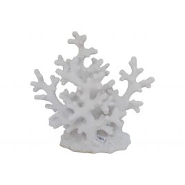 Sand Stone Coral (small)