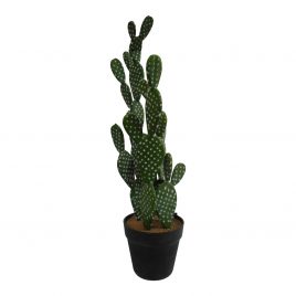 Artificial Desert Cactus w/ Pot