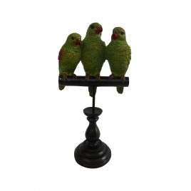 Trio Green Parrot on a Wooden Perch