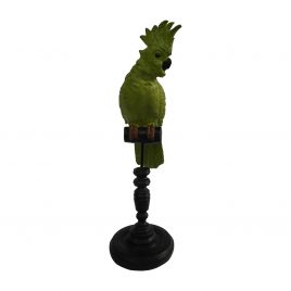 Green Cockatoo on a wooden perch