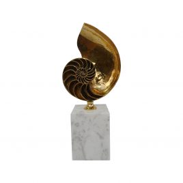 Golden Nautilus Display w/ Base