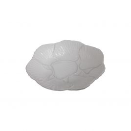 White ceramic sea shell plate
