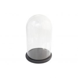 Glass Dome w/ Base