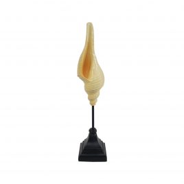 Dianty Spider Shell on Stand