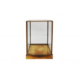 Display Box Terrariums (S)