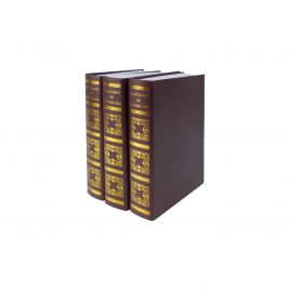 Paper Book (Medium) Brown