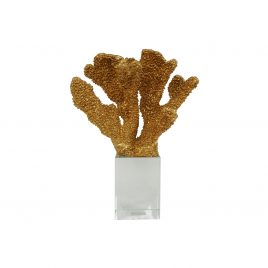 Golden Coral Accent on Clear Base
