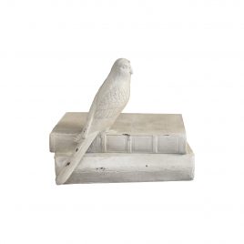 White Decoration Book w/ Parrot