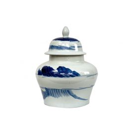 Windswept Wide Ginger Jar (S)