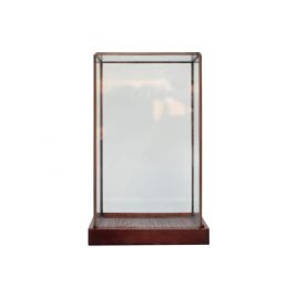 Display Box Terrariums with wooden base