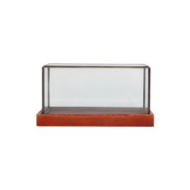 Rectangular Display Box Terrariums with wooden base