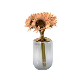 Beige Country Sunflower