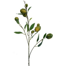 Green Lemon Branch
