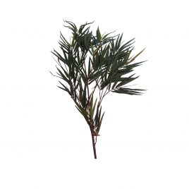 Liu Tree Branch
