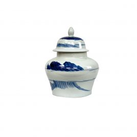 Windswept Wide Ginger Jar (S)