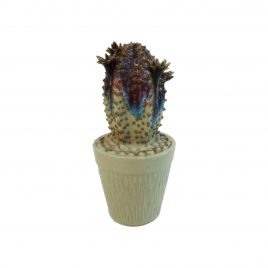 Cactus on Pot Purple Reactive Galze