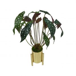 Philodendron Artificial Plant in Gold Planter (M)
