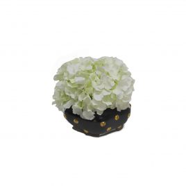 White Hydarngea with Vase
