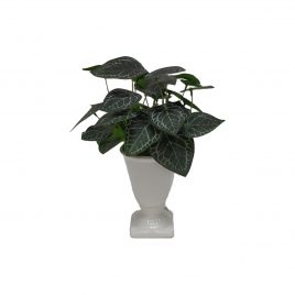 Calla Leaf in Ceramic Vase