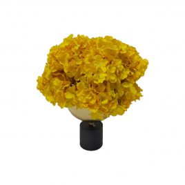 Yellow Hydarngea with Vase