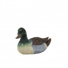 Resin Mallard Duck (S)