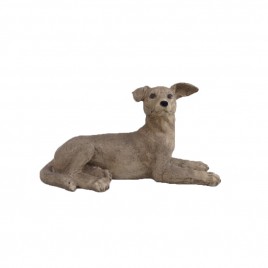 Weimaraner Dog (Lying)