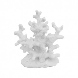 Sand Stone Coral (S)