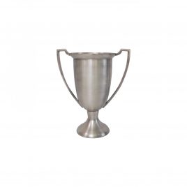 Silver Plated Cup (Small)
