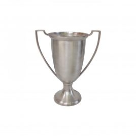 Silver Plated Cup (Medium)
