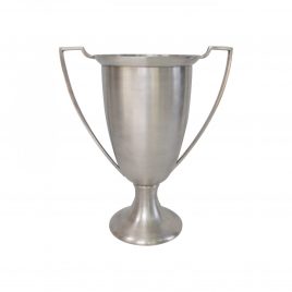 Silver Plated Cup (Large)