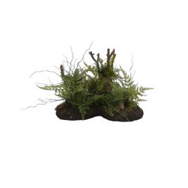 Artificial fern with moss