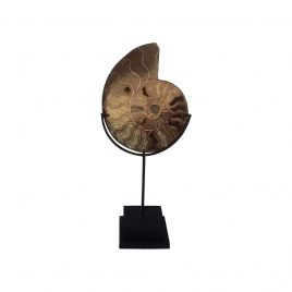 Stone shell with stand (S)