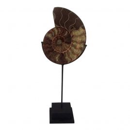 Stone shell with stand (L)