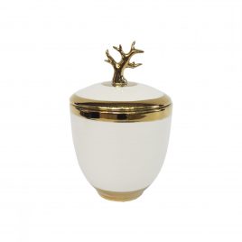 Coral Ceramic Jar with Lid