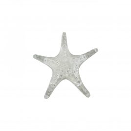 Glass Clear Star Fish