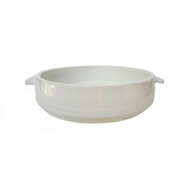 White Pottery Plant