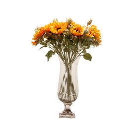 Orange Sunflower