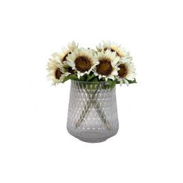 White Sunflower