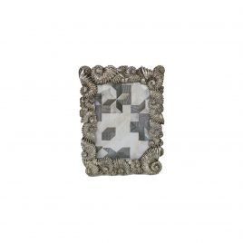 Silver Nautilus Frame
