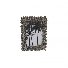 Silver Coral Frame