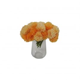 Orange Chrysanthemum