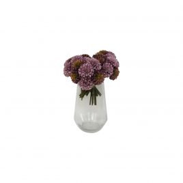 Purple Chrysanthemum